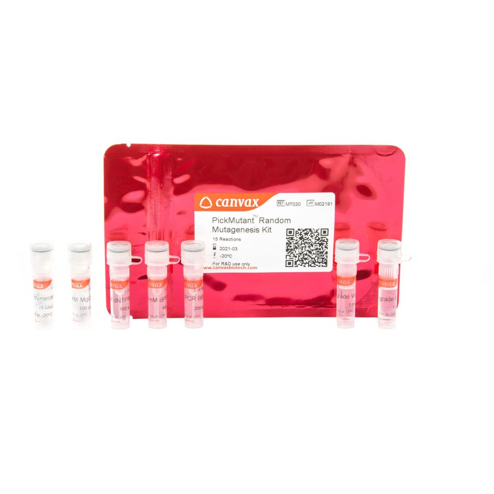 PickMutant™ Error Prone PCR Kit | Canvax