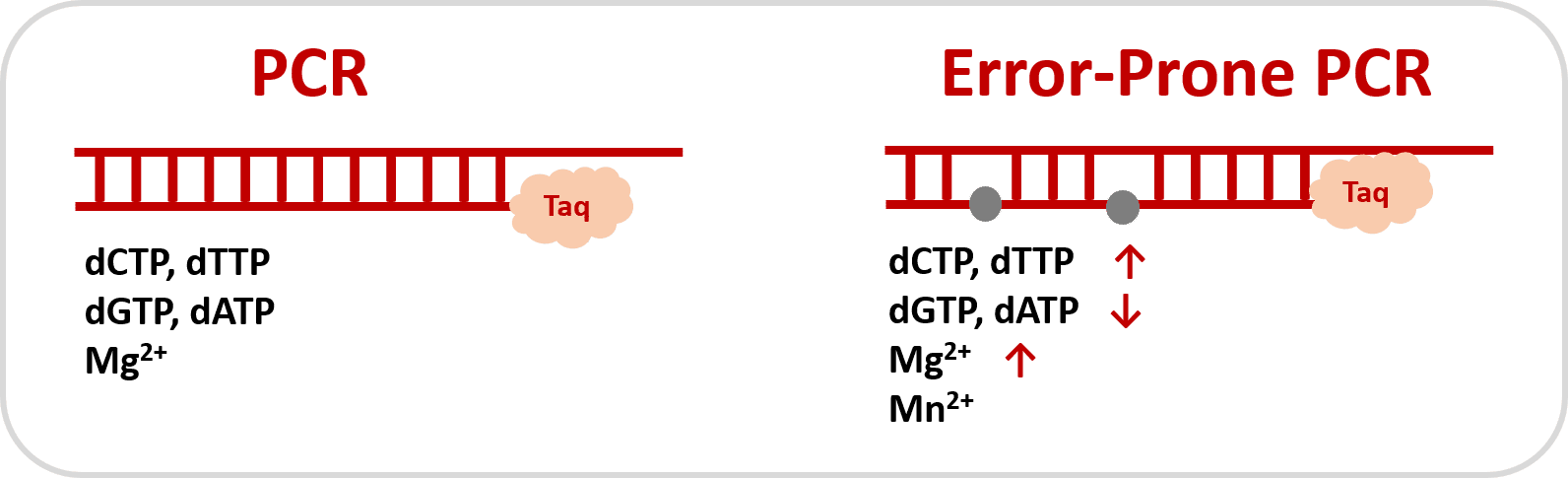 pickmutant-error-prone-pcr-kit-canvax